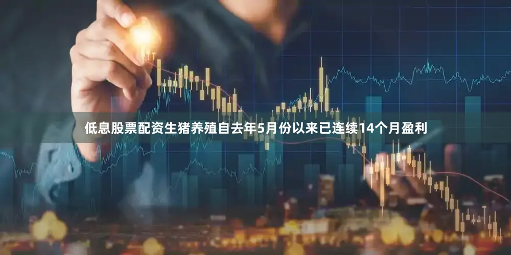 低息股票配资生猪养殖自去年5月份以来已连续14个月盈利