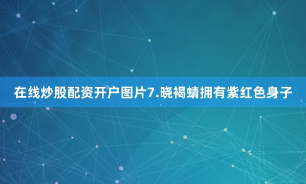 在线炒股配资开户图片7.晓褐蜻拥有紫红色身子