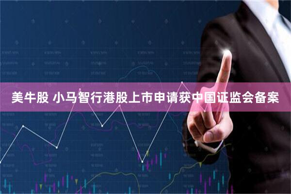 美牛股 小马智行港股上市申请获中国证监会备案